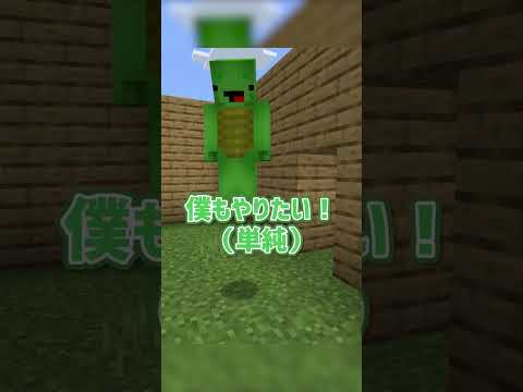 自分だけのシード爆弾を作るのはとても簡単です トピックス