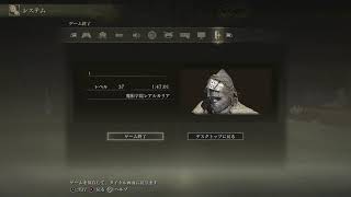 1D1Hエルデンリング　放浪騎士×ツリースピア