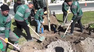 BAŞKAN ÇOLAKBAYRAKDAR “YEŞİL ALANDA DÜNYA STANDARTLARINI ÜÇE KATLIYORUZ”