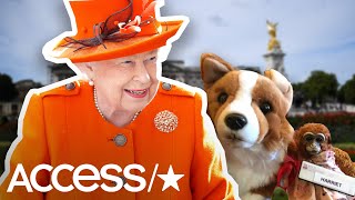 Buckingham Palace Gives Lost Toy Royal Treatment Before Returning To 5-year-Old Girl