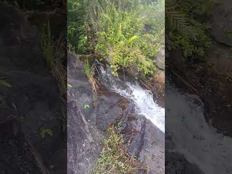 PASSEIO NO CAMPO E CACHOEIRA DE ÁGUA CRISTALINA |