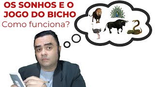 Os sonhos e o jogo do bicho 🖊