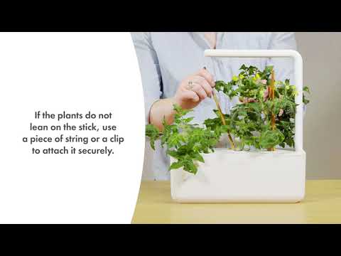 Click&amp;Grow Vaisių ir daržovių mišinys 9 vnt. video