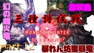 【アクション】モンスターハンターワールド ：アイスボーン　part１２