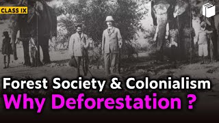 Why Deforestation? | Forest Society & Colonialism | Chapter 4 - History | Class 9 | PuStack