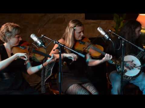 The Happy Cats Travelling Sesssions - Take My Hand