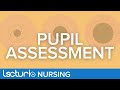 How To Perform a Pupil Assessment | Neurological Assessment
