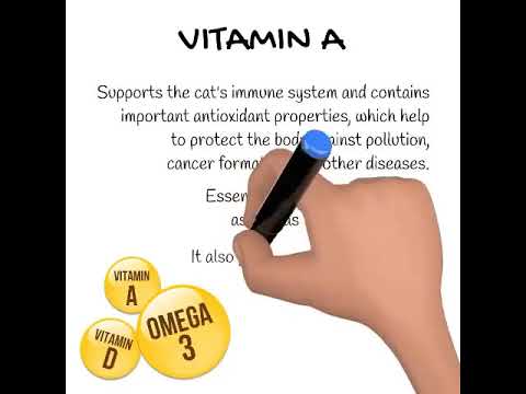 Health Benefits of Omega 3 Fish Oil Supplements for Pets