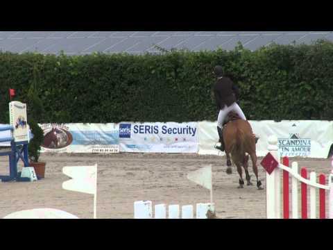 Sultane des Ibis (webstallions.com)