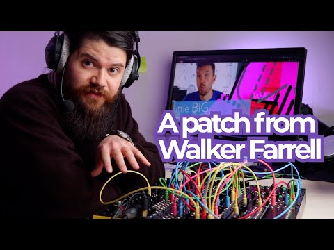 Wiggly LFOs on the BRENSO (credit: Make Noise)