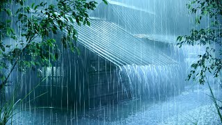 Goodbye Insomnia to Sleep Instantly with Powerful Rainstorm on Metal Roof & Mighty Thunder at Night