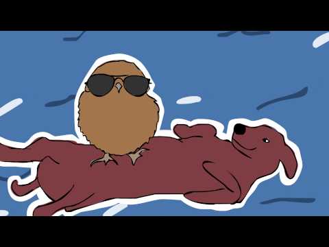 Nicolette Forte "Hold Your Hand" [official video]