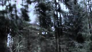 Goethes Erben   Schatten