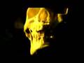Genedefect - My Ready Eye 