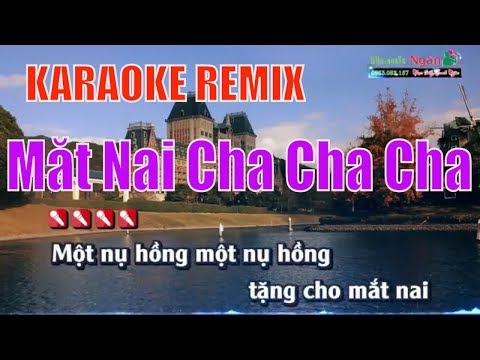 Mắt Nai Cha Cha Cha Karaoke Remix - Nhạc Sống Thanh Ngân