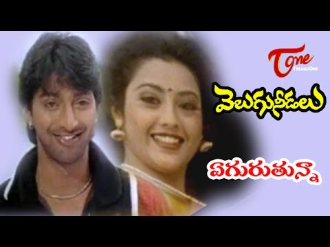 Velugu Needalu Songs - Agurutunna - Meena - Venkat