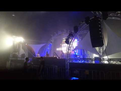 Shelterwood Festival 2016 - Roman Weber