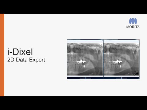 How to export 2D images from i-Dixel