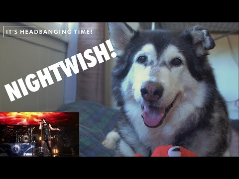 Headbanging Husky Reacts to Nightwish - Ghost Love Score