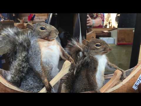 Nebraska (Czech) Ernie Kucera Band - Looking Polka - WhiteCastle.com