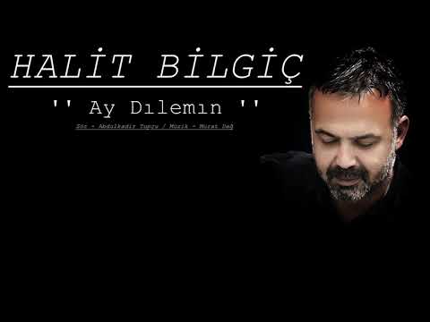Halit Bilgiç - Ay Dılemın / 2022 YENİ