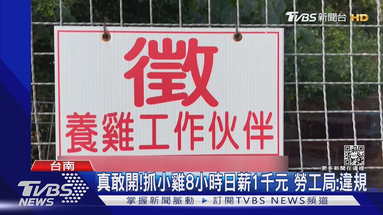 真敢開？！抓小雞8小時日薪1千元　勞工局：違反勞基法