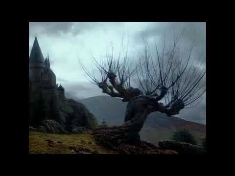 *FREE* Redpriest x 0k1ro x Vinso x Shinjin type beat