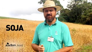 Carlos Klenki apresenta o campo experimental de soja da Cooperativa Bom Jesus