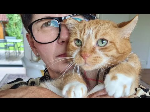 Nobody would adopt this senior cat. A woman gave him everything.