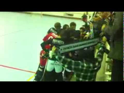 Grito Final do jogo Cart 3 X Sanjoanense 5