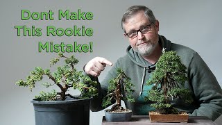 Download lagu Bonsaify | The One Mistake All Bonsai Beginners Make: Here's How to Avoid It! mp3