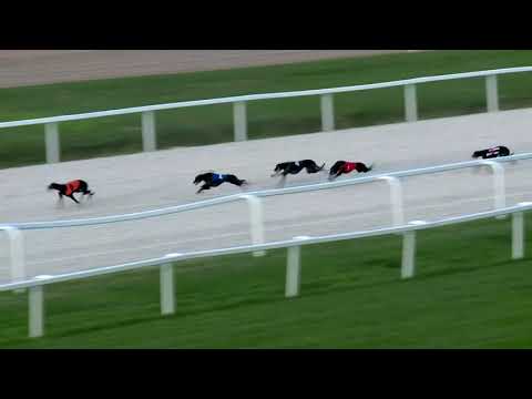 2018.09.07. Agár futam