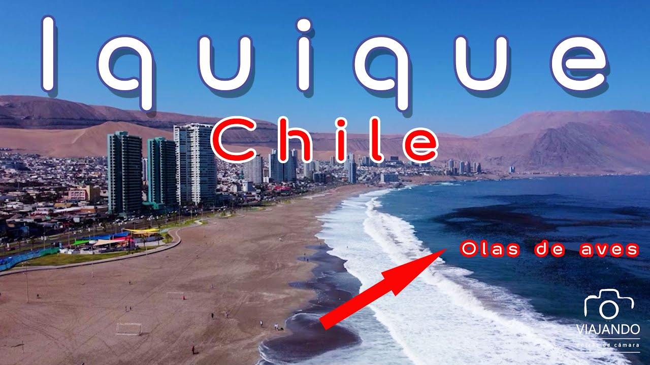Iquique: What is it like and what places did we visit in this port city in northern Chile?