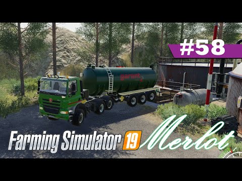 Selling Wool, Continue Harvesting, Animal Chores | Merlot | Farming Simulator 19 Timelapse