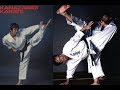 Shotokan Karate Kihon