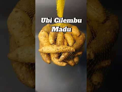 Ubi Cilembu Madu Manis #shopee #ubicilembu #realfood