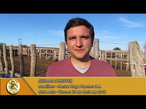 29-06-18 Nota Germán Scheffer - Martillero - Nestor Hugo Fuentes S.A. - General Acha
