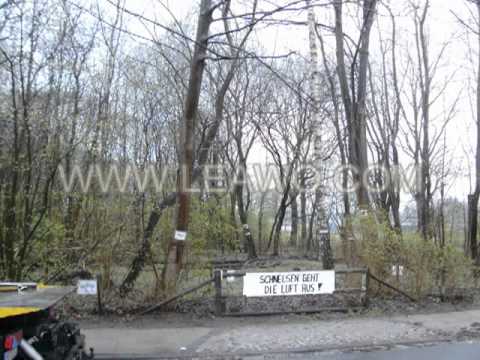 Walderwachen an der Peter-Timm-Straße