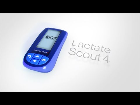EKF Lactate Scout 4 Lactat-Messgerät