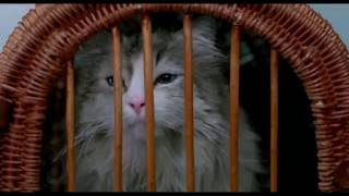 MA VIE DE CHAT - Extrait "Dans la peau d'un chat" VF [Kevin Spacey, Christopher Walken]