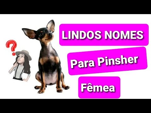 Nomes para Pinscher fêmea