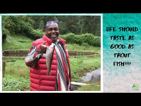 You must try Trout fish from Trout Valley. It tastes as good as their tagline says