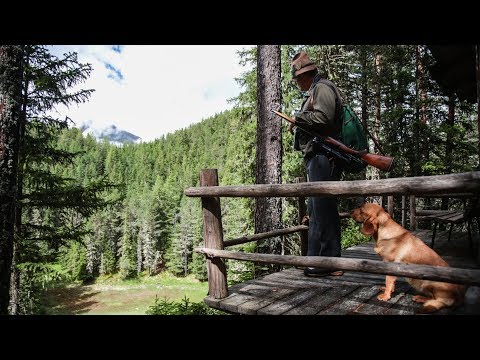 Falknerhof: Jagdhütte