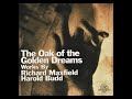 Richard Maxfield / Harold Budd – The Oak Of The Golden Dreams (1999) Full Album