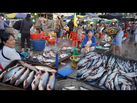 Fish Market Vs Food Market in The Morning - Plenty Alive Fish, Fresh Pork & More Seafood @ChbarAmpov