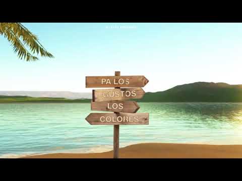 PA LOS GUSTOS LOS COLORES REMIX DJ ALEX ft  VARIOS ARTISTAS