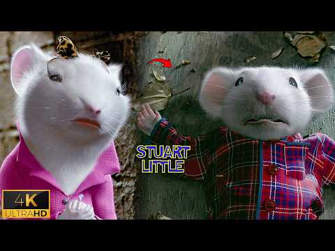 Stuart Reunites with His Family | Heartwarming Scene – Stuart Little