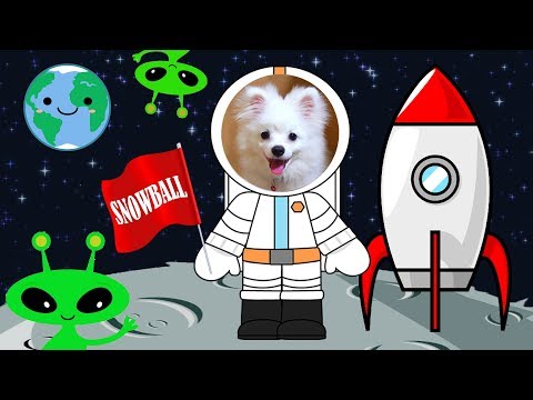 Snowball Dog And Pudding Hamster Fight With Aliens