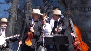 Dig a Hole (Darlin&#39; Cory): The Earl&#39;s of Leicester w Tim O&#39;Brien