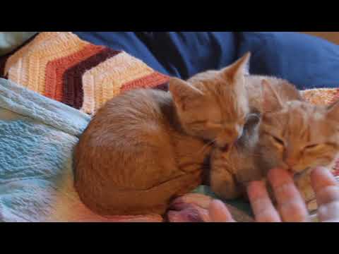 Rubin+Cherise grooving